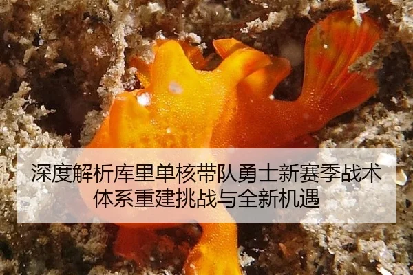 深度解析库里单核带队勇士新赛季战术体系重建挑战与全新机遇